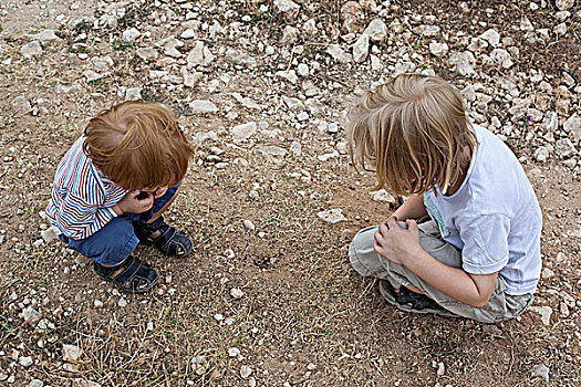 两个男孩,俯视,洞,泥土
