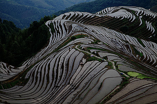 龙胜梯田