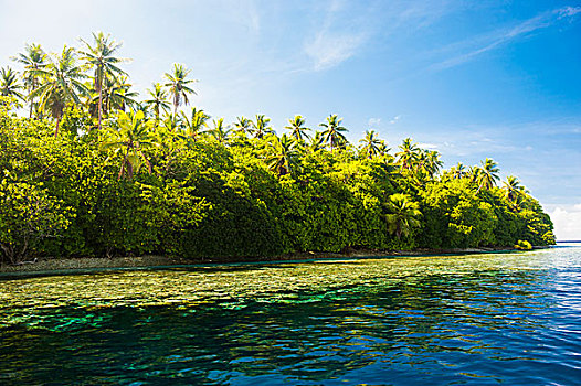小,小岛,蚂蚁,环礁,密克罗尼西亚