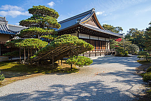 日本京都金阁寺