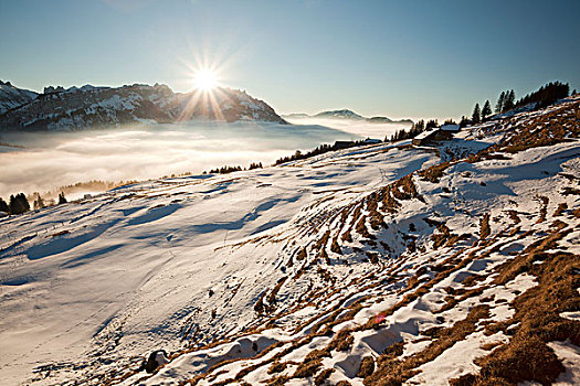 山丘,山,山地牧场,积雪,阿彭策尔,阿尔卑斯山,瑞士,欧洲