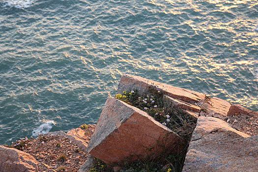 海岸礁石,嵊泗,大海