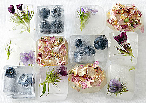 花,水果,冰冻,冰块