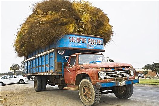 干草,装载,卡车,伊卡地区,秘鲁