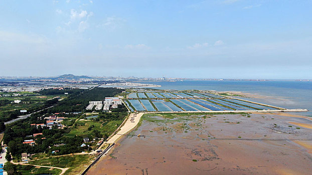 山东省日照市,夏日赶海拾贝如同赶大集,这个赶海园人气鼎盛超治愈