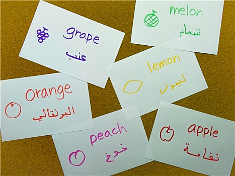 语言文字,学习卡片,阿拉伯