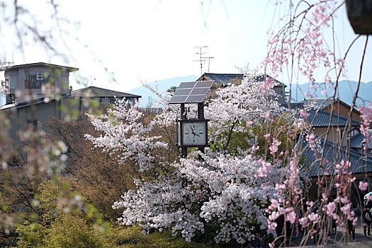 京都清水寺