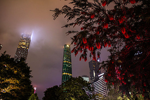 广州,夜景,摩天大楼,灯光,照明,霓虹灯,小蛮腰,电视台,珠江,都市,居民区,花草,美化,园林