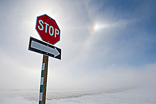 道路,遮盖,吹,雪,靠近,莫理斯,曼尼托巴,加拿大