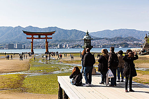 人,鸟居,海中,退潮,严岛神社,神社,世界遗产,岛屿,宫岛,区域,广岛,本州,日本