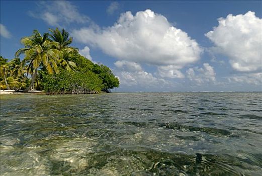 南,水,伯利兹暗礁,加勒比海,中美洲