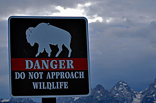 标识,危险,靠近,野生动物,大台顿国家公园,怀俄明,美国