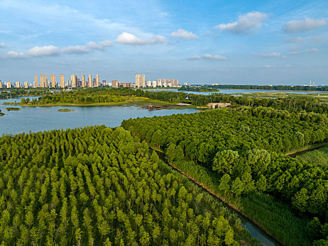 江苏省东海县西双湖湿地公园夏日景色美