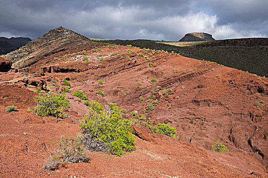 红色,火山岩,徒步旅行,加纳利群岛,西班牙,欧洲