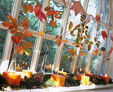 秋天,安放,叶子,枝条,苔藓,蜡烛,窗台