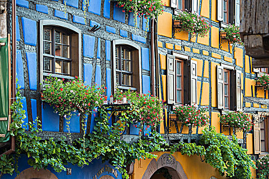 彩色,半木结构房屋,阿尔萨斯,法国,欧洲