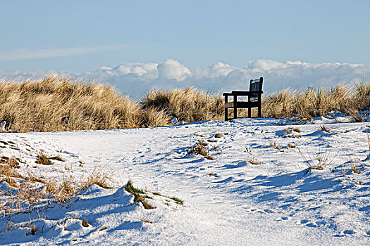 诺森伯兰郡,英格兰,长椅,雪,地面