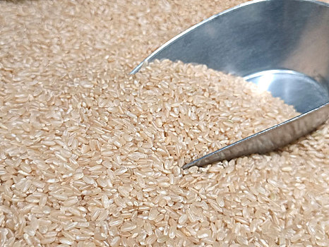 米,米粒,稻米