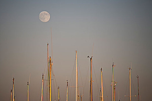 帆船,满月