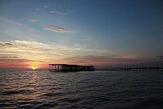 日落,海洋,码头,前景,柬埔寨