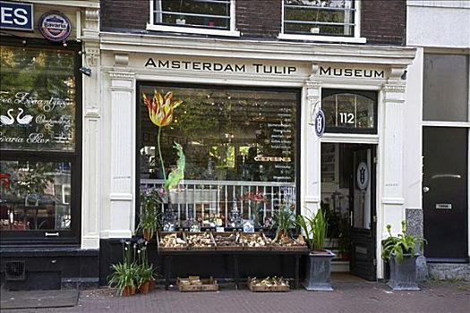 阿姆斯特丹,郁金香,博物馆,荷兰