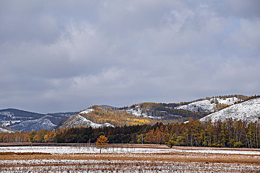 阿尔山雪景