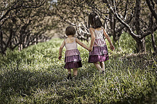 两个孩子,走,树林,隧道,树枝