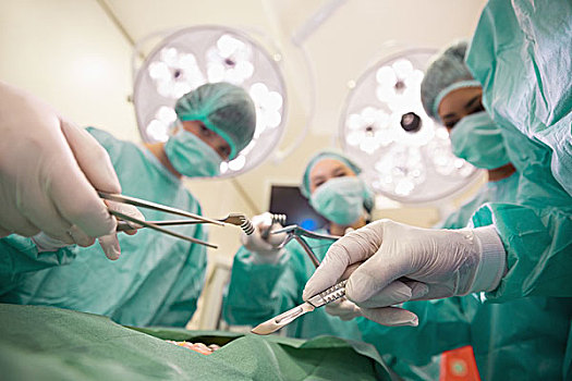 医学生,练习,外科手术,模型