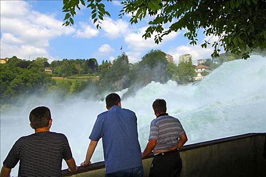 观注,叫,莱茵河,瀑布,诺伊豪森,瑞士