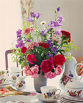 桌子,茶几,玫瑰,雏菊,风铃草属植物