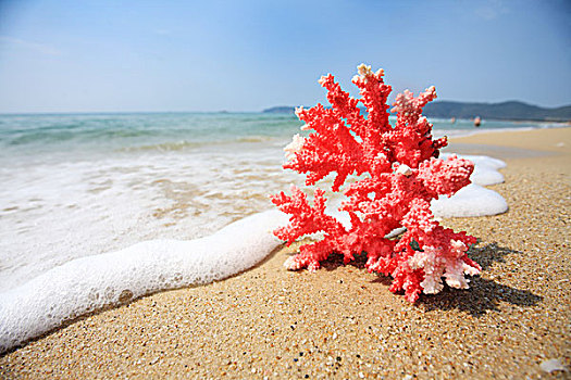 红色,波浪,海滩