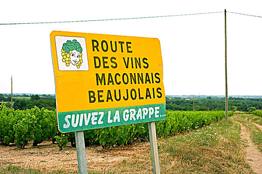 路线,葡萄酒,路标,葡萄园,博若莱葡萄酒,酒乡,罗纳河谷,法国