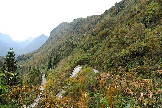 农村山区道路