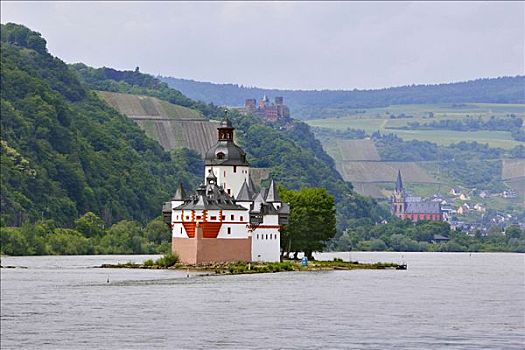 靠近,莱茵河,正面,城堡,教堂,莱茵兰普法尔茨州,德国,欧洲