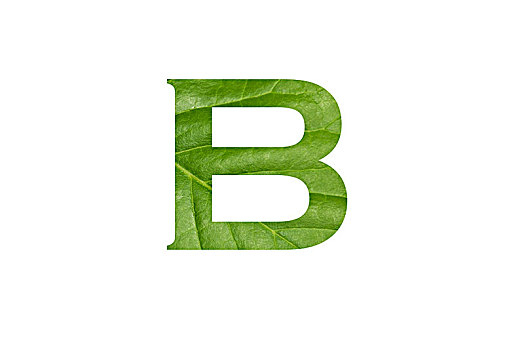 樹葉紋理的字母