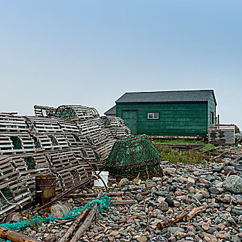 捕虾器,码头,小湾,格罗莫讷国家公园,纽芬兰,拉布拉多犬,加拿大