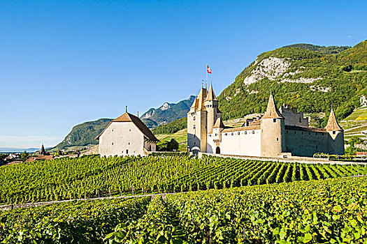 城堡,围绕,葡萄园,沃州,瑞士,欧洲