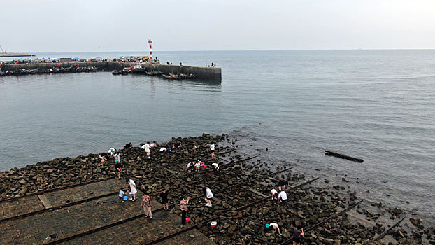 渔码头成了网红打卡地,游客赶海拾贝采购海鲜就像赶大集