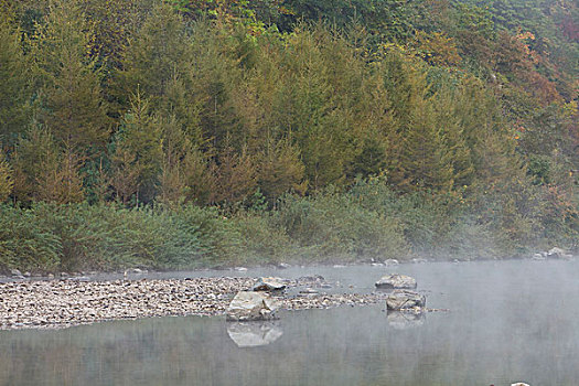 湖,水面,雾气,蒸腾,白雾,水蒸气,缥缈,仙境,灵性,家禽,鸭子,鹅,游动,自在,安静,自然,风光