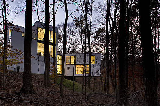 房子,建筑师,美国,2009年