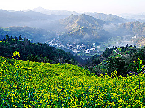 风景