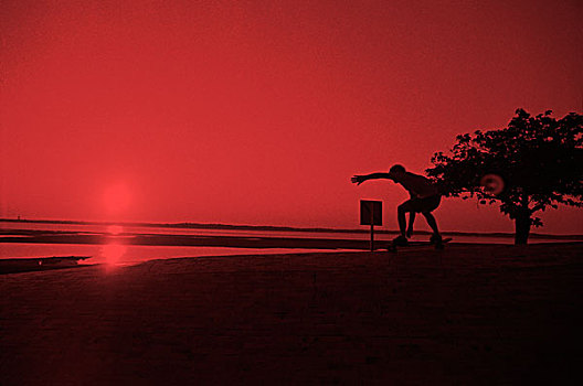 剪影,人,滑板,海滩,背景,日落