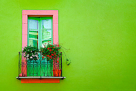 家,温馨家居,绿色,窗户,墙壁