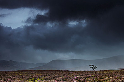 暗色,乌云,雨,条纹,山,远景,高地,苏格兰