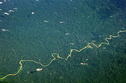 巴西,亚马逊河,航拍,雨林