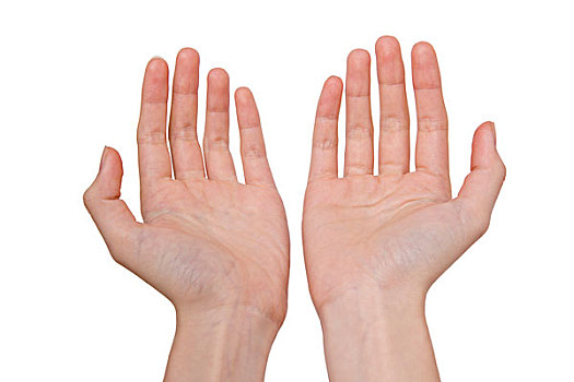 一双捧起的手,空白,女性的手