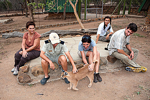 狞獾,濒危物种,中心,禁猎区,南非