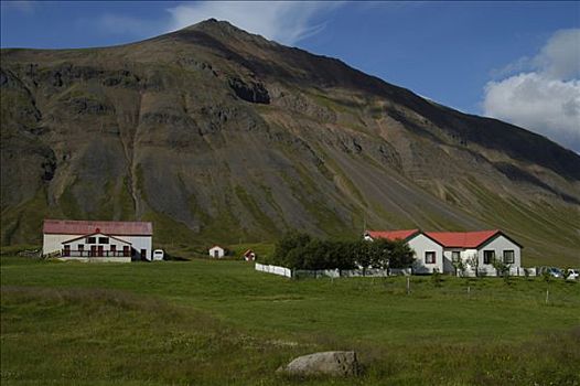 农场,山谷,冰岛