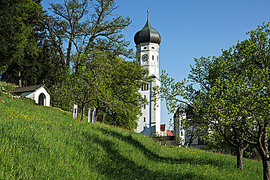钟楼,教堂,寺院,圣芳济修会,聚集,巴伐利亚,德国,欧洲