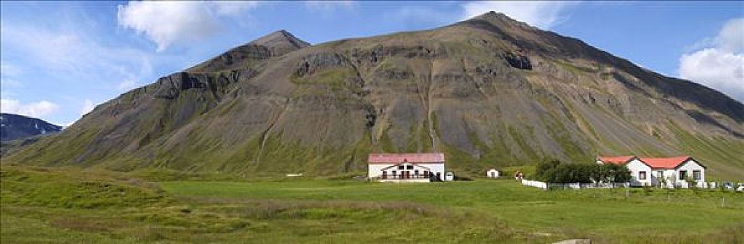 农场,山谷,半岛,冰岛